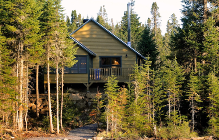 Forest Bungalow